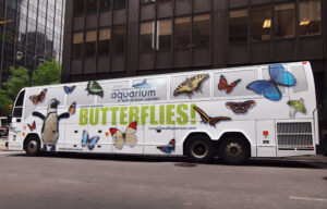 ¿CUÁNTO TIEMPO DURA EL ANUNCIO GRÁFICO DE MI COCHE DE EMPRESA?